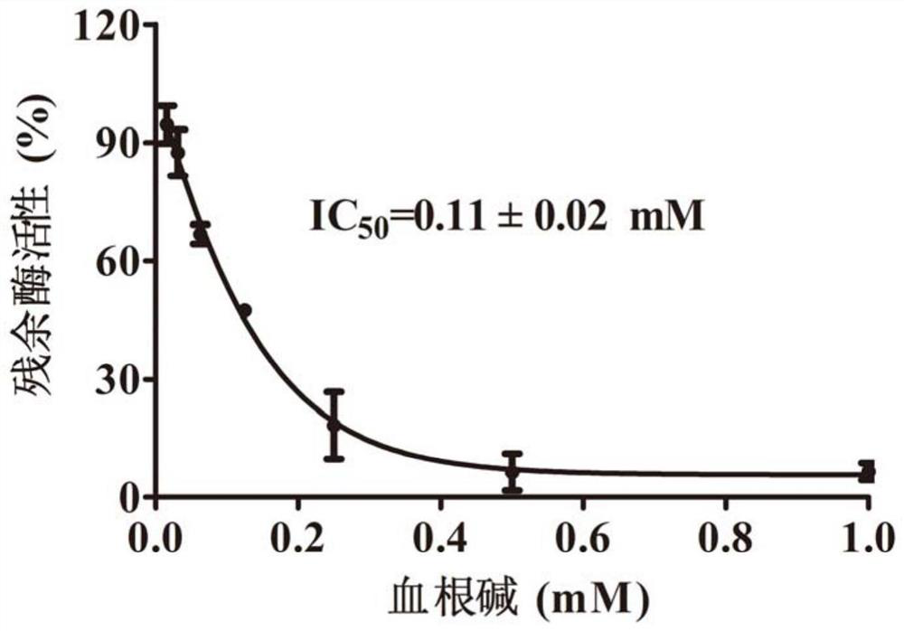 Application of sanguinarine in preparation of canavalia urease inhibitor