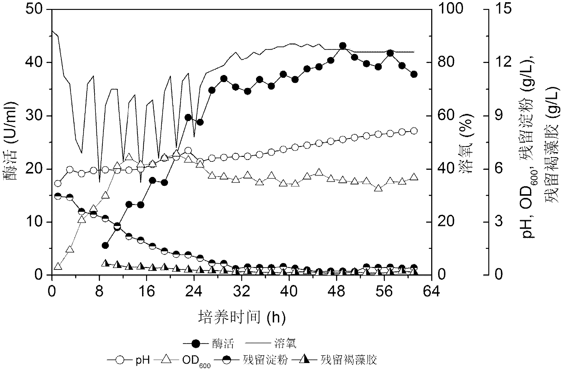 Method for producing sodium alginate lyase by utilizing vibrio vulnificus