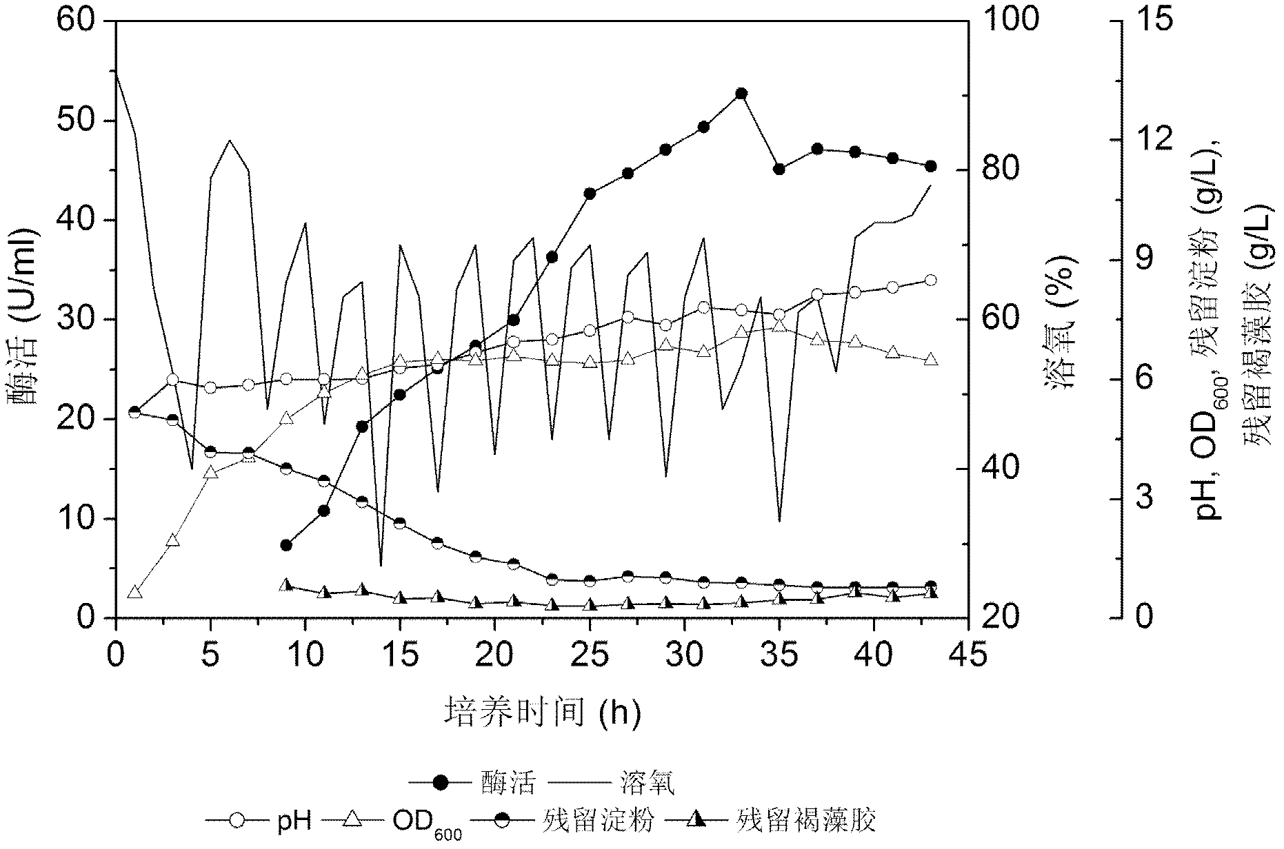 Method for producing sodium alginate lyase by utilizing vibrio vulnificus