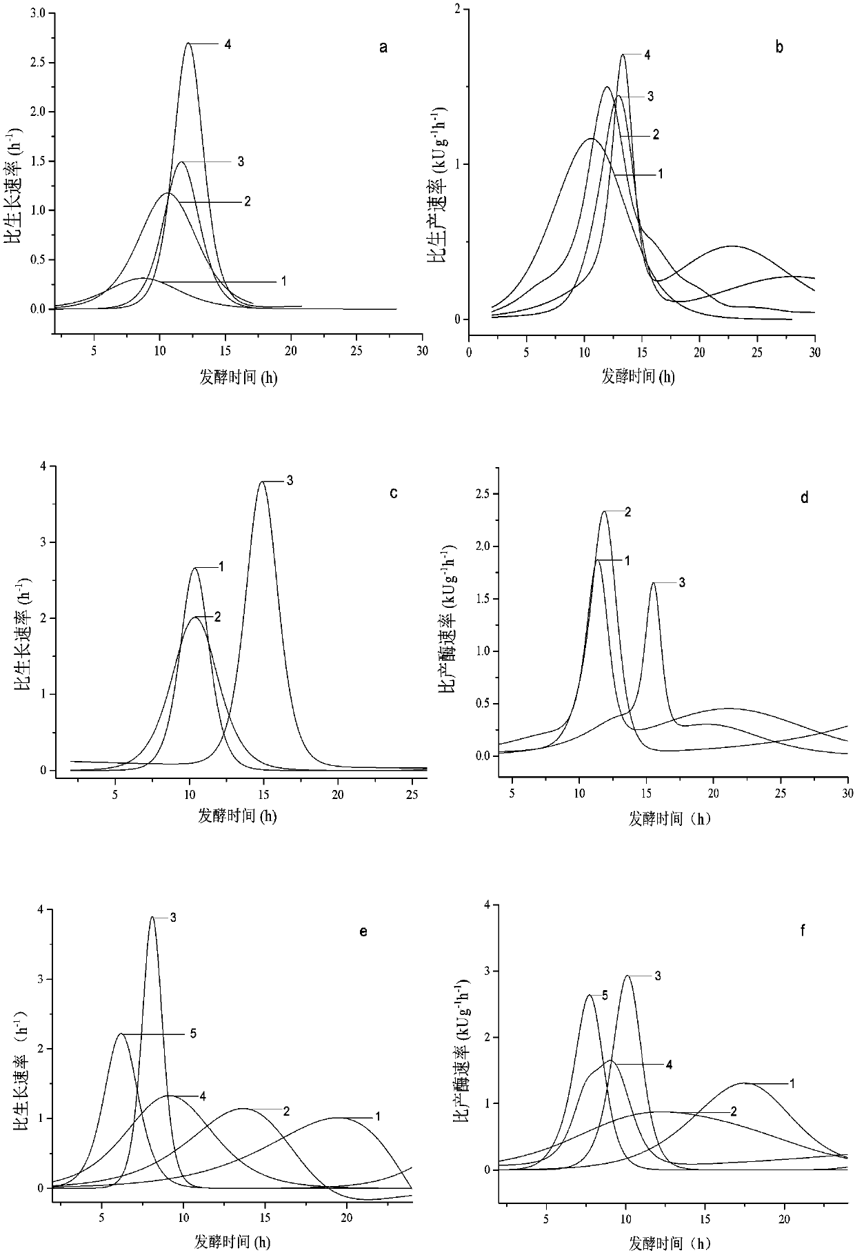 Method for high fermentation yield of recombinant proline aminopeptidase and preparation of debittered rice peptide