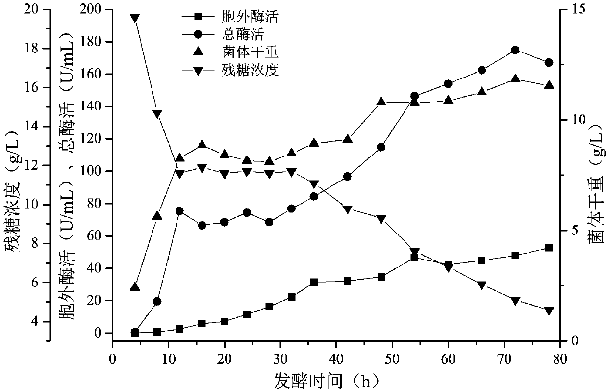 Method for high fermentation yield of recombinant proline aminopeptidase and preparation of debittered rice peptide