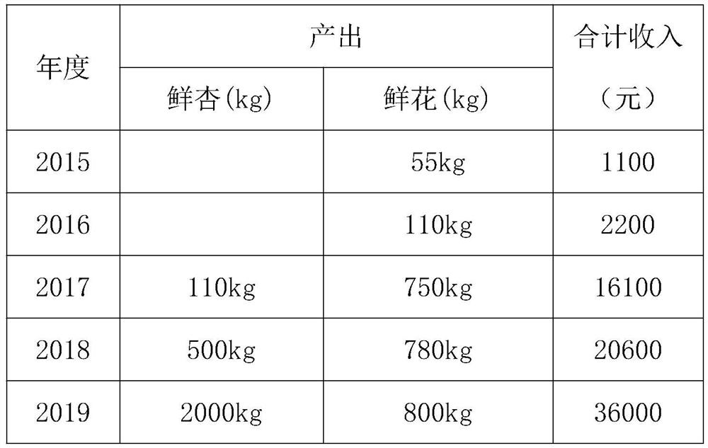 A kind of high-benefit intercropping cultivation method of apricot tree in barren sandy soil