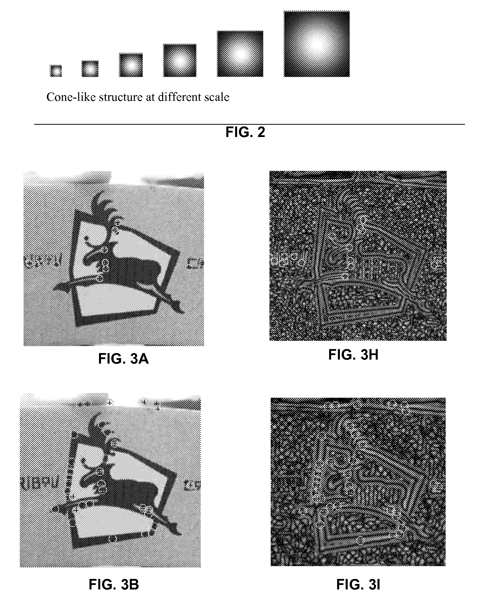 System and method for visual recognition