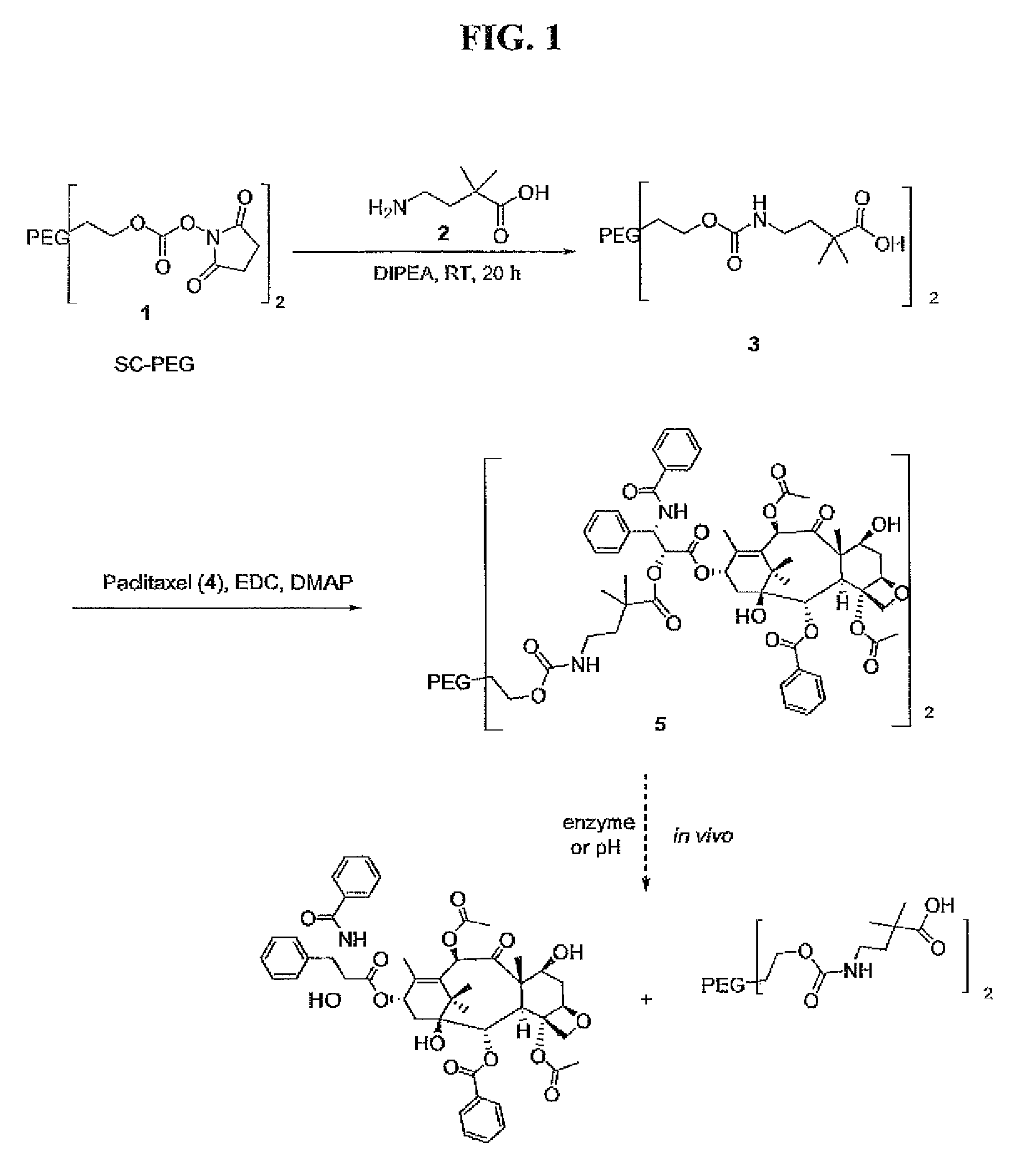 Polyalkylene oxides having hindered ester-based biodegradable linkers