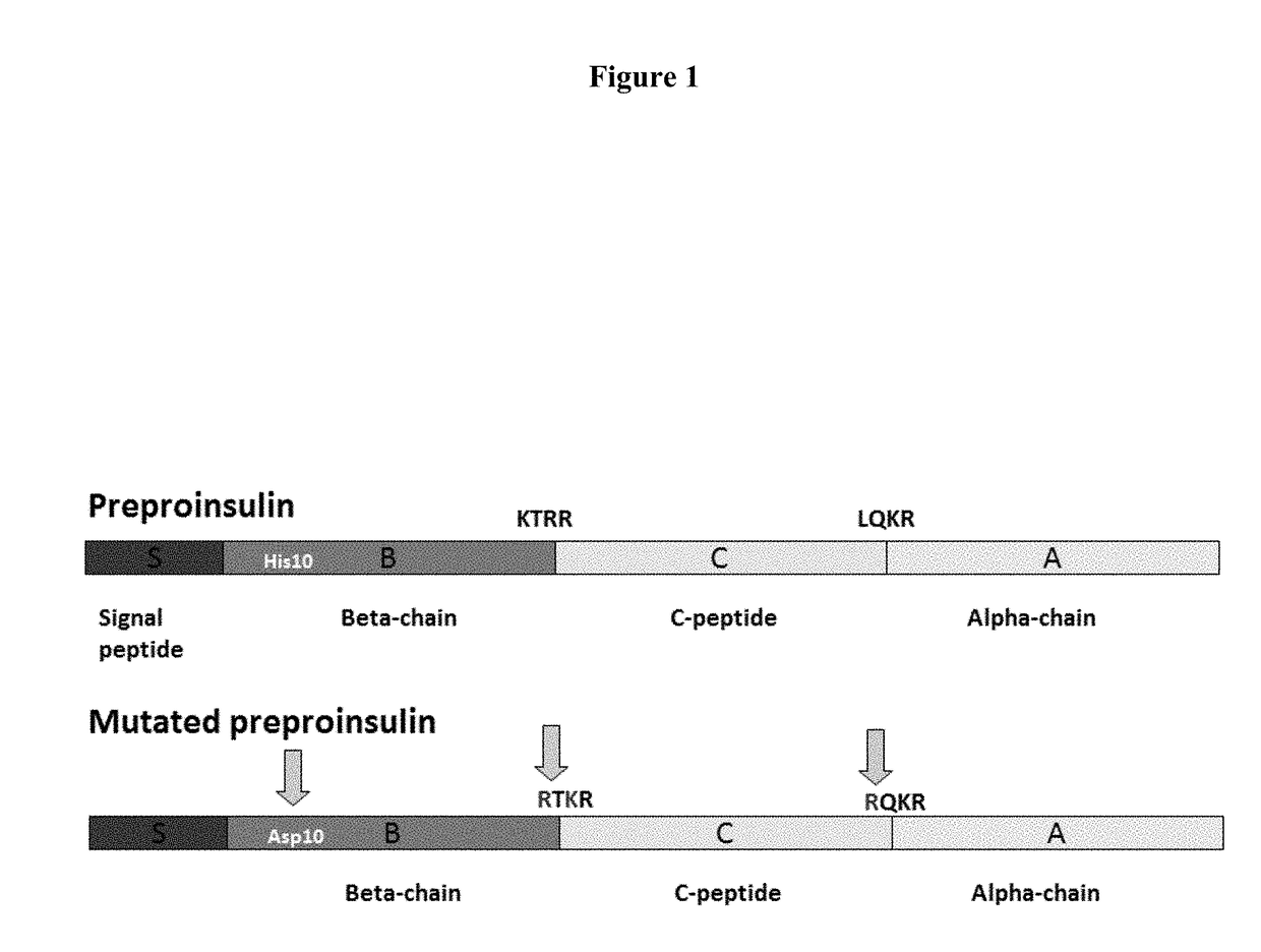 Treating type i and type ii diabetes