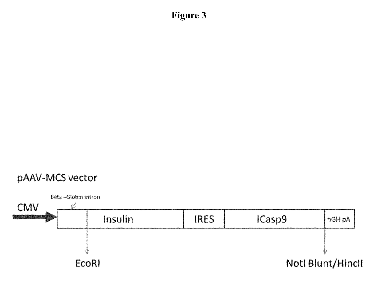 Treating type i and type ii diabetes