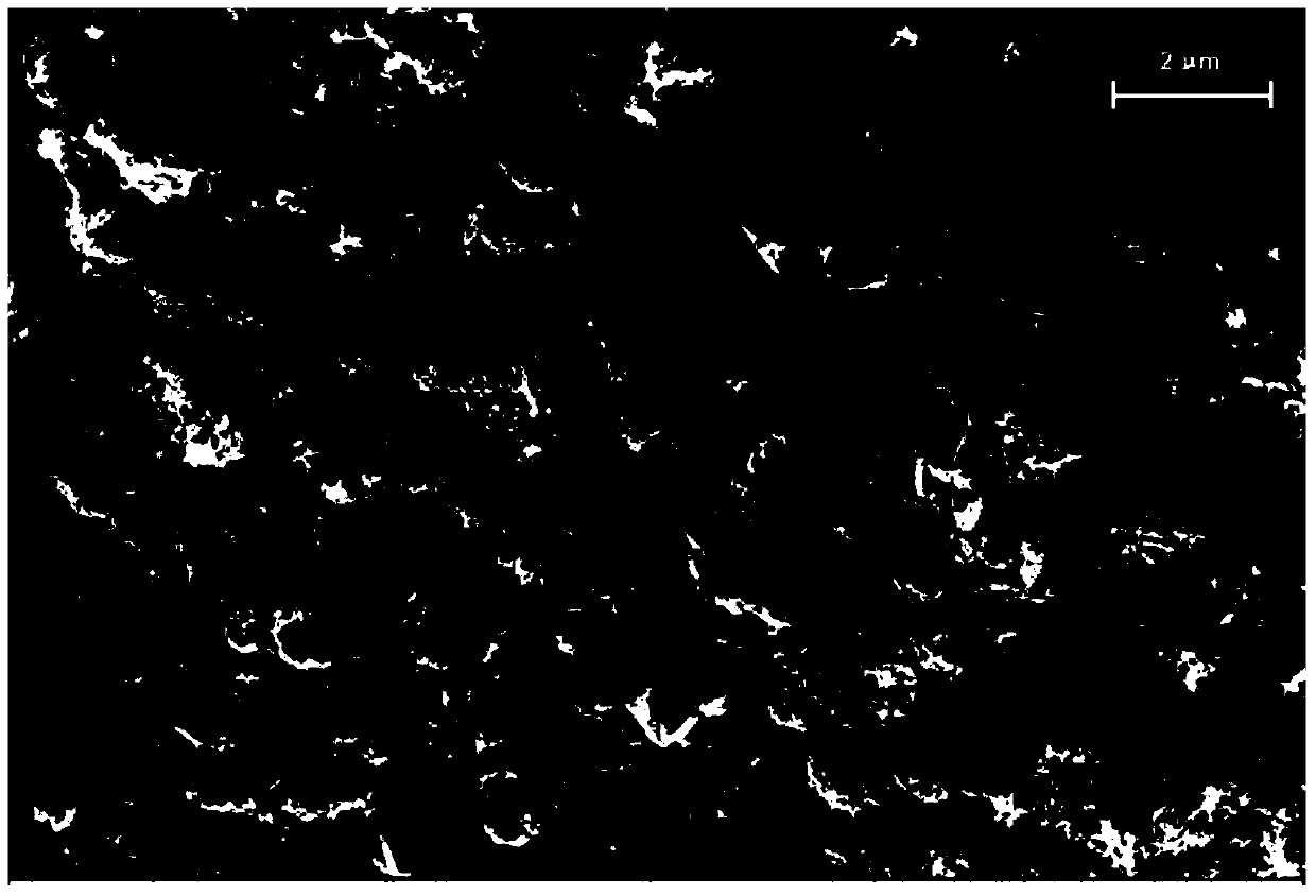 Metal formate/carbon nanotube lithium ion battery negative electrode material and preparation method thereof