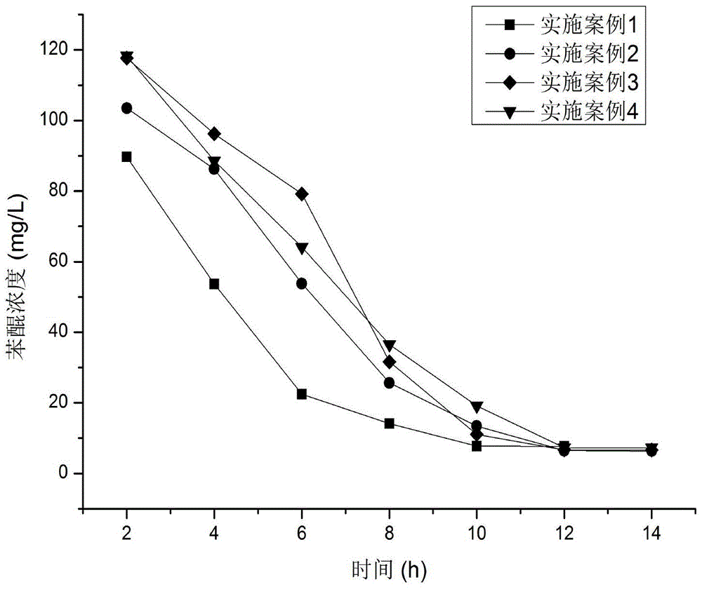 Compound agent for degrading pollutant benzoquinone in wastewater and method for degrading and treating pollutant benzoquinone in wastewater