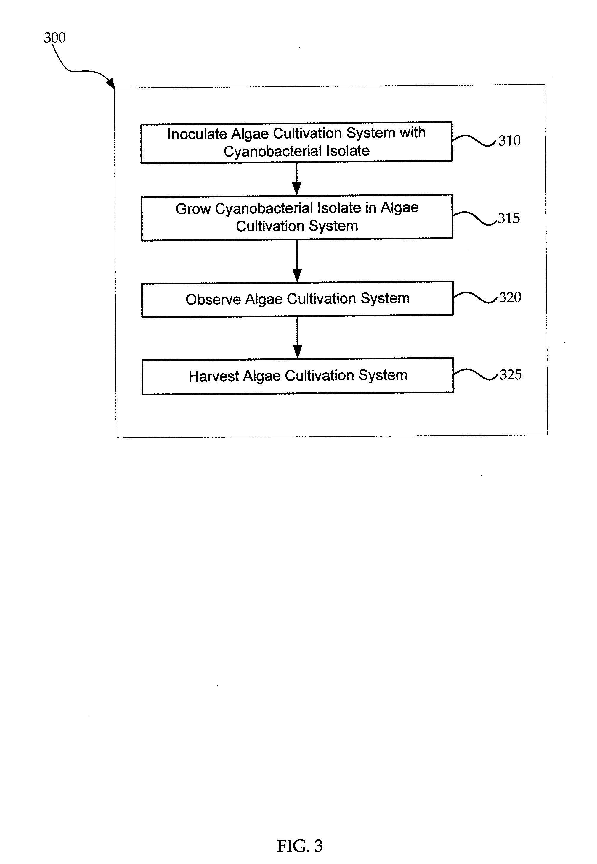 Cyanobacterial Isolates Having Auto-Flocculation and Settling Properties