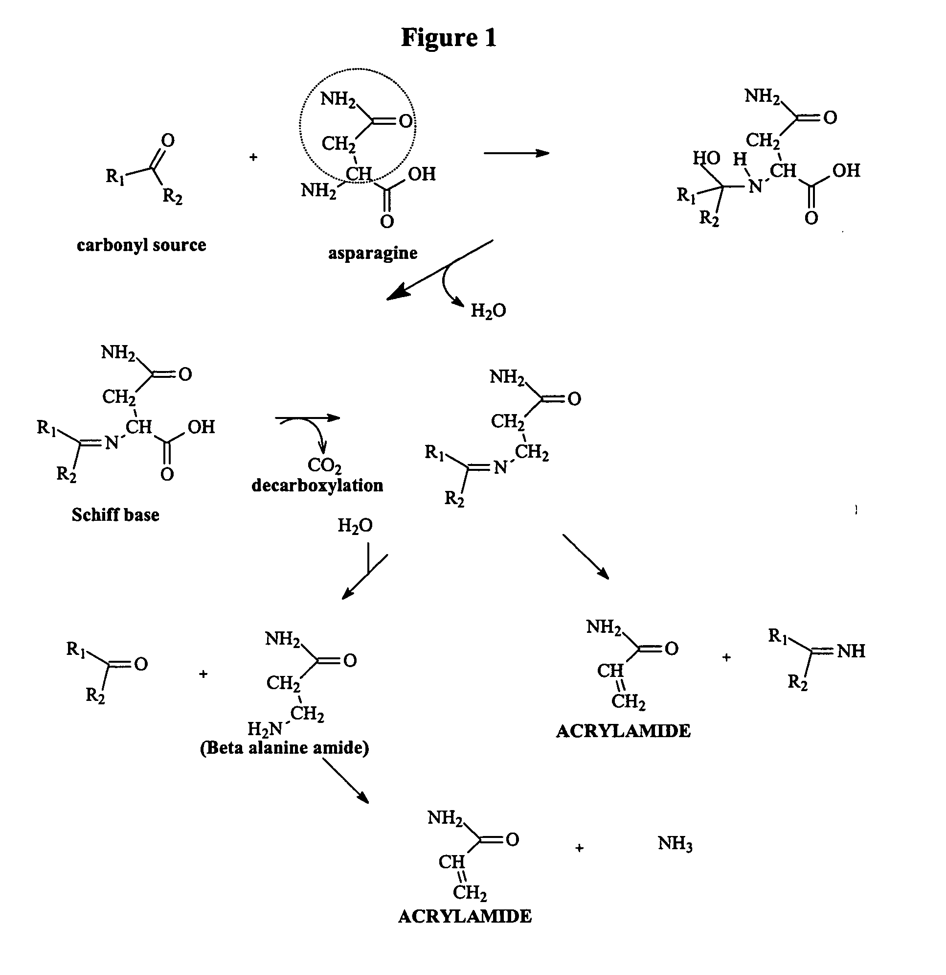 Method for reducing acrylamide in foods, foods having reduced levels of acrylamide and article of commerce
