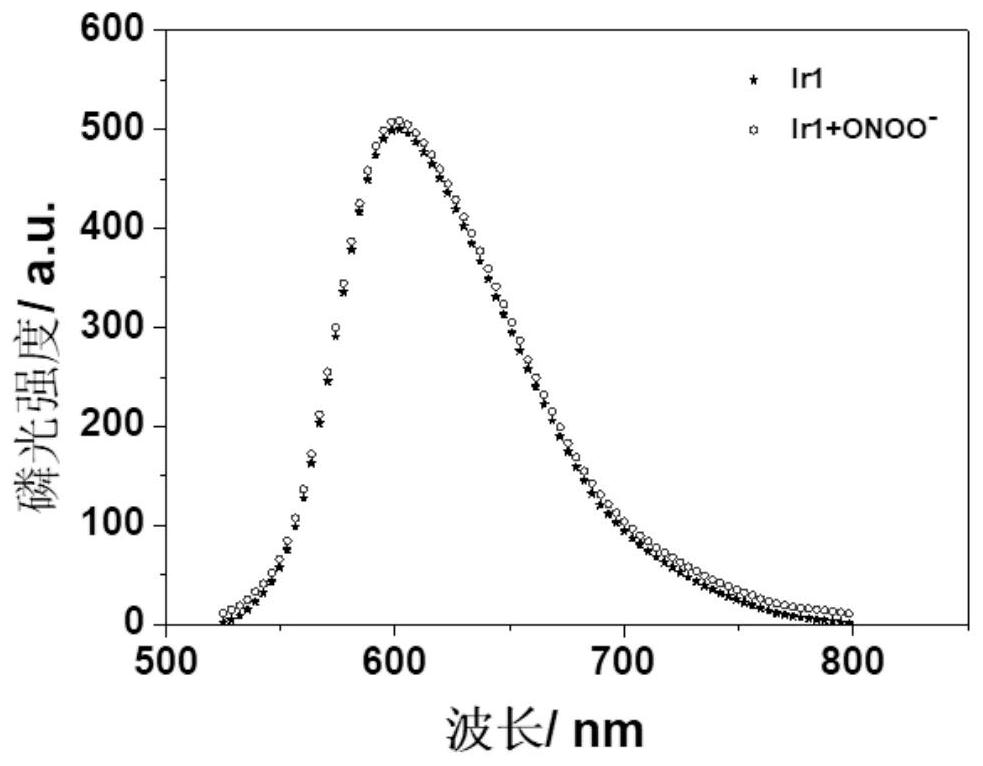 A phosphorescent polymer probe capable of detecting peroxynitrite by ratiometric method and its preparation and application