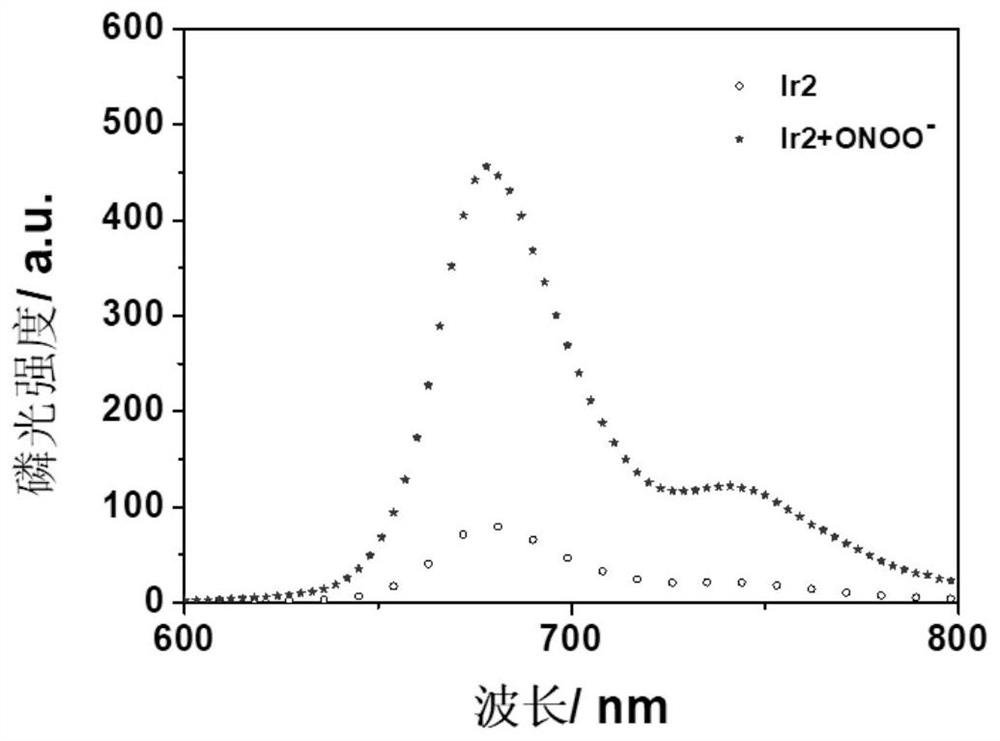 A phosphorescent polymer probe capable of detecting peroxynitrite by ratiometric method and its preparation and application