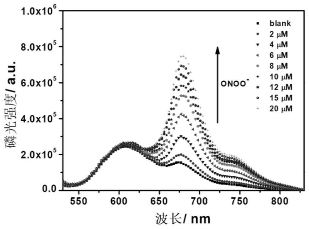 A phosphorescent polymer probe capable of detecting peroxynitrite by ratiometric method and its preparation and application