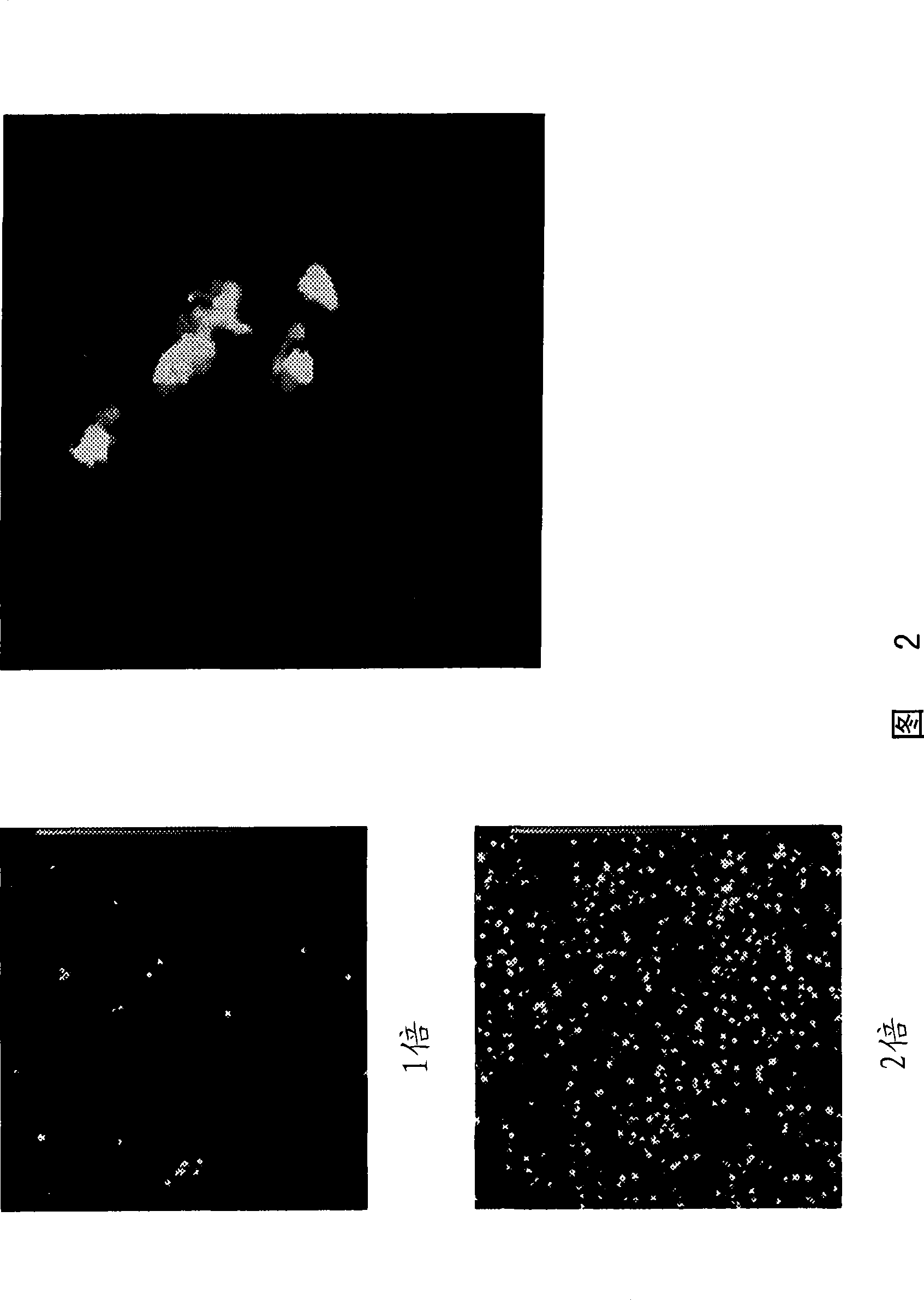 Recombinant virus vector for gene introduction in lymphocyte