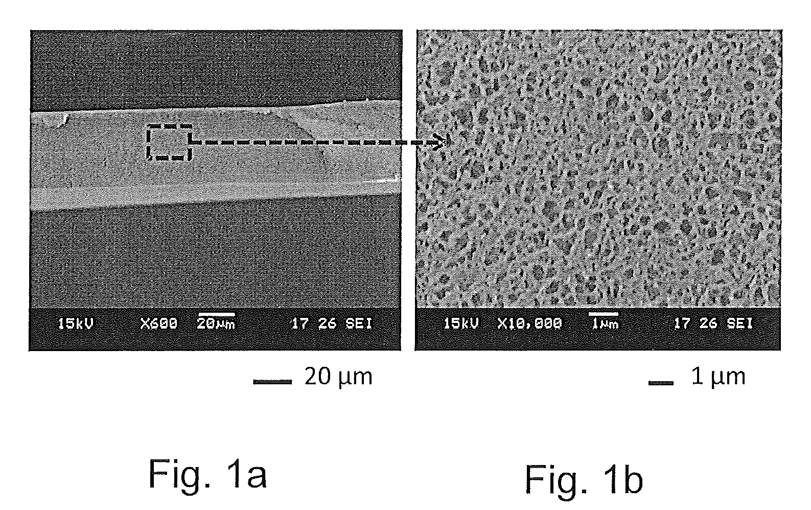 Composite membranes comprising a sulfonated polyarylether and their use in forward osmosis processes