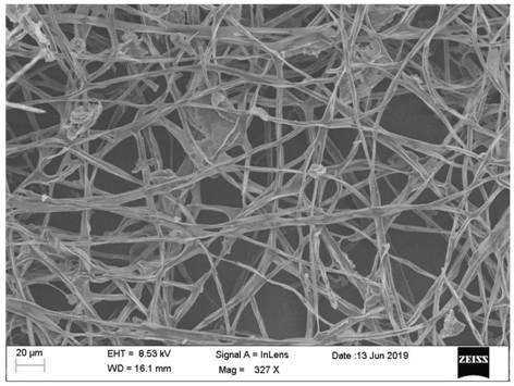 Microbial enrichment preparation method of hypha-based doped supercapacitor material
