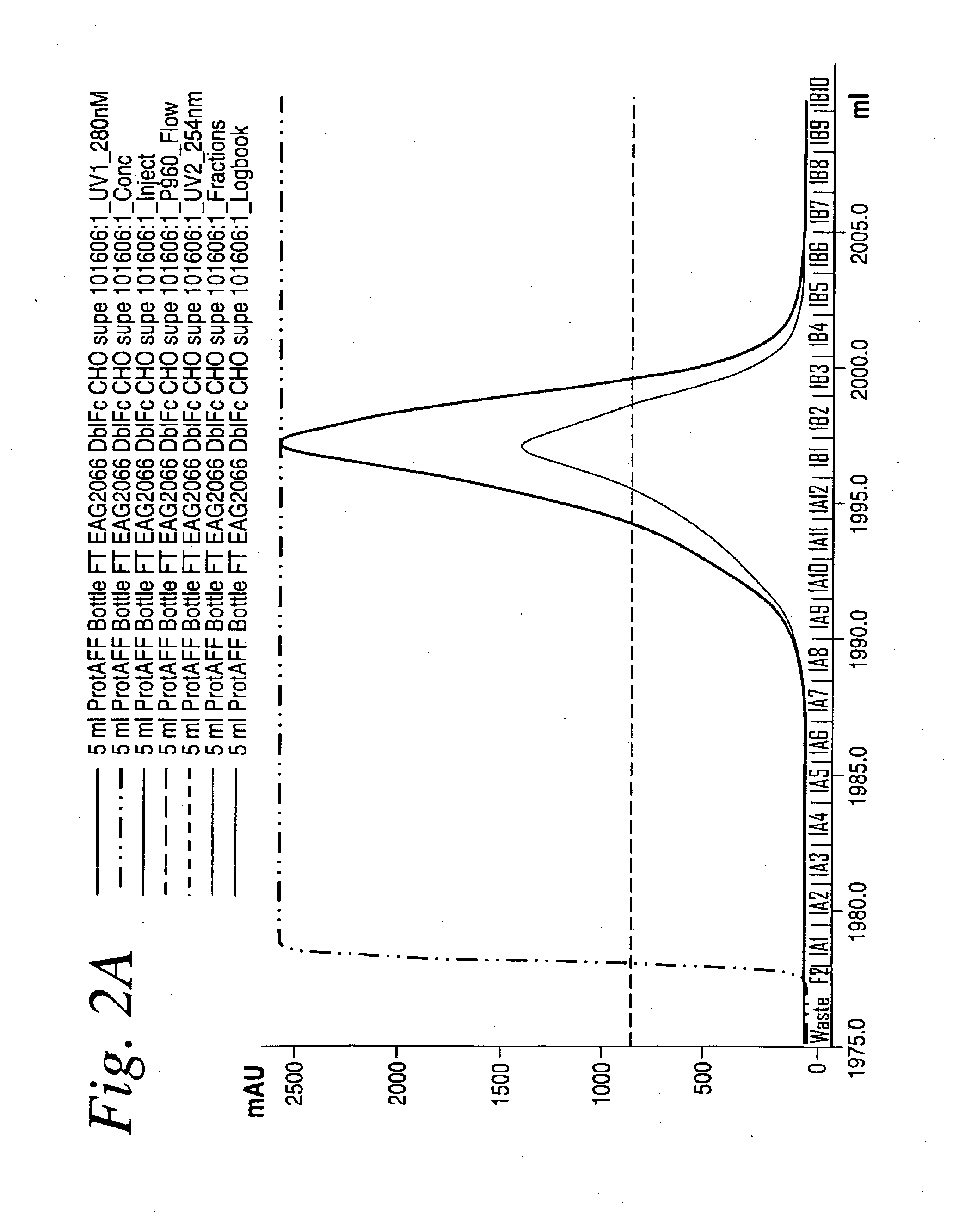 SINGLE CHAIN Fc (ScFc) REGIONS, BINDING POLYPEPTIDES COMPRISING SAME, AND METHODS RELATED THERETO