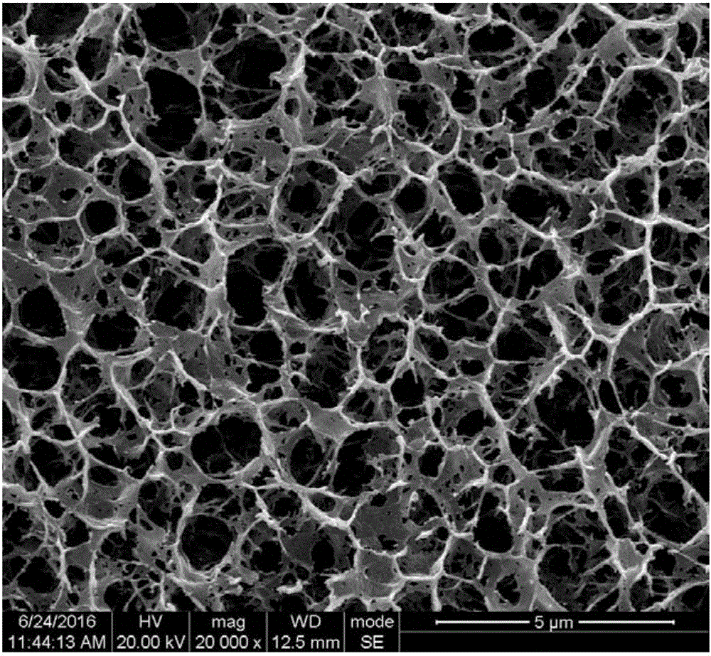 Cellulose graft modification method by using supercritical carbon dioxide as solvent