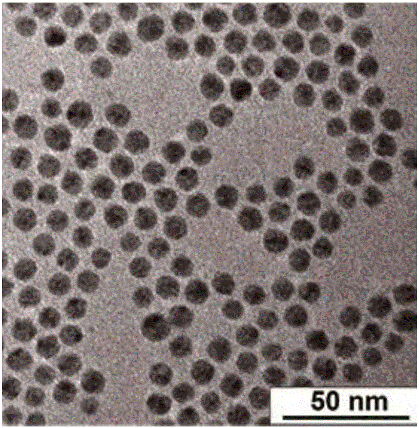 Silver nano-particle coated by organic acid silver, method for preparing silver nano-particle and application thereof