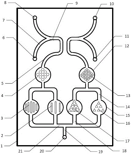 Using method of high-flux pattern induced cell screening chip