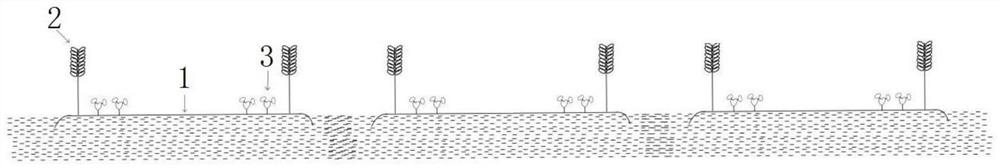 Sand-proof planting method, planting equipment and sand-proof planting system