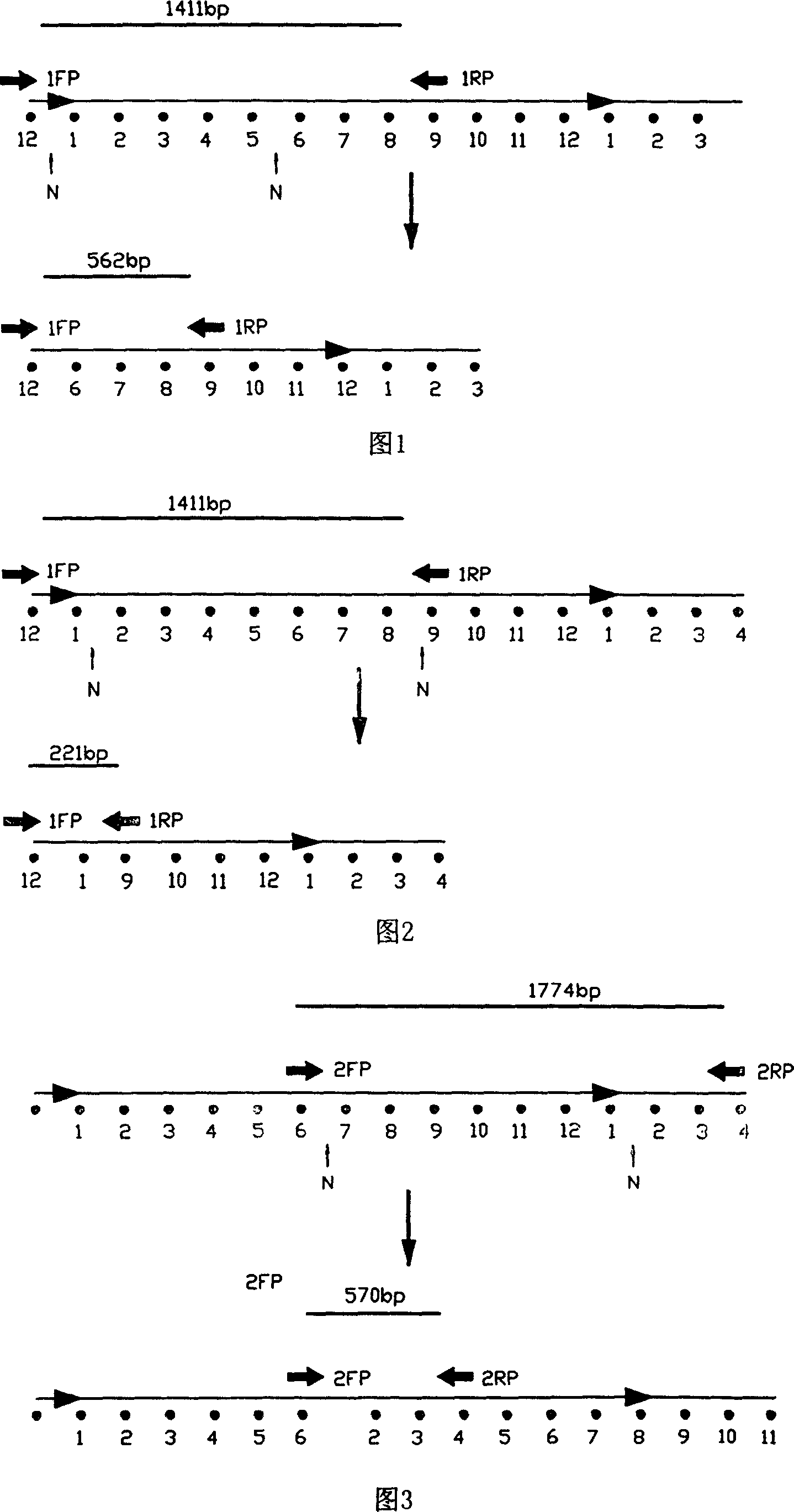 Kjeldahl comprehensive syndrome fetal molecule dingnosis reagent box and application