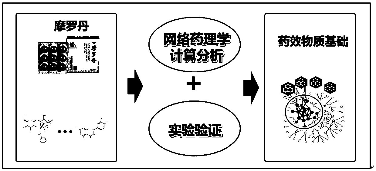 Substance for regulating immune function of atrophic gastritis and preparation and application of substance