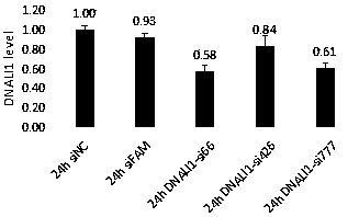 siRNA for interfering DNALI1 gene expression and application of siRNA in cell proliferation and migration inhibition