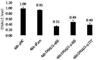 siRNA for interfering DNALI1 gene expression and application of siRNA in cell proliferation and migration inhibition