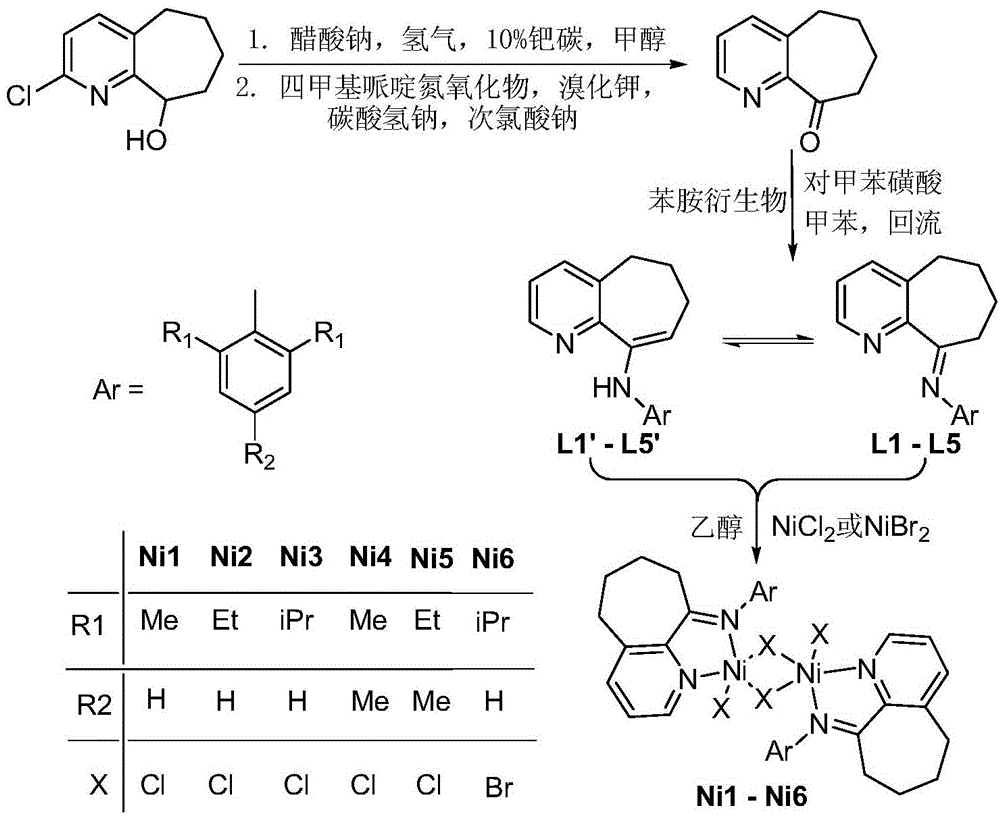 Pyridinocycloheptane imine nickel complex catalyst, preparation method and application thereof