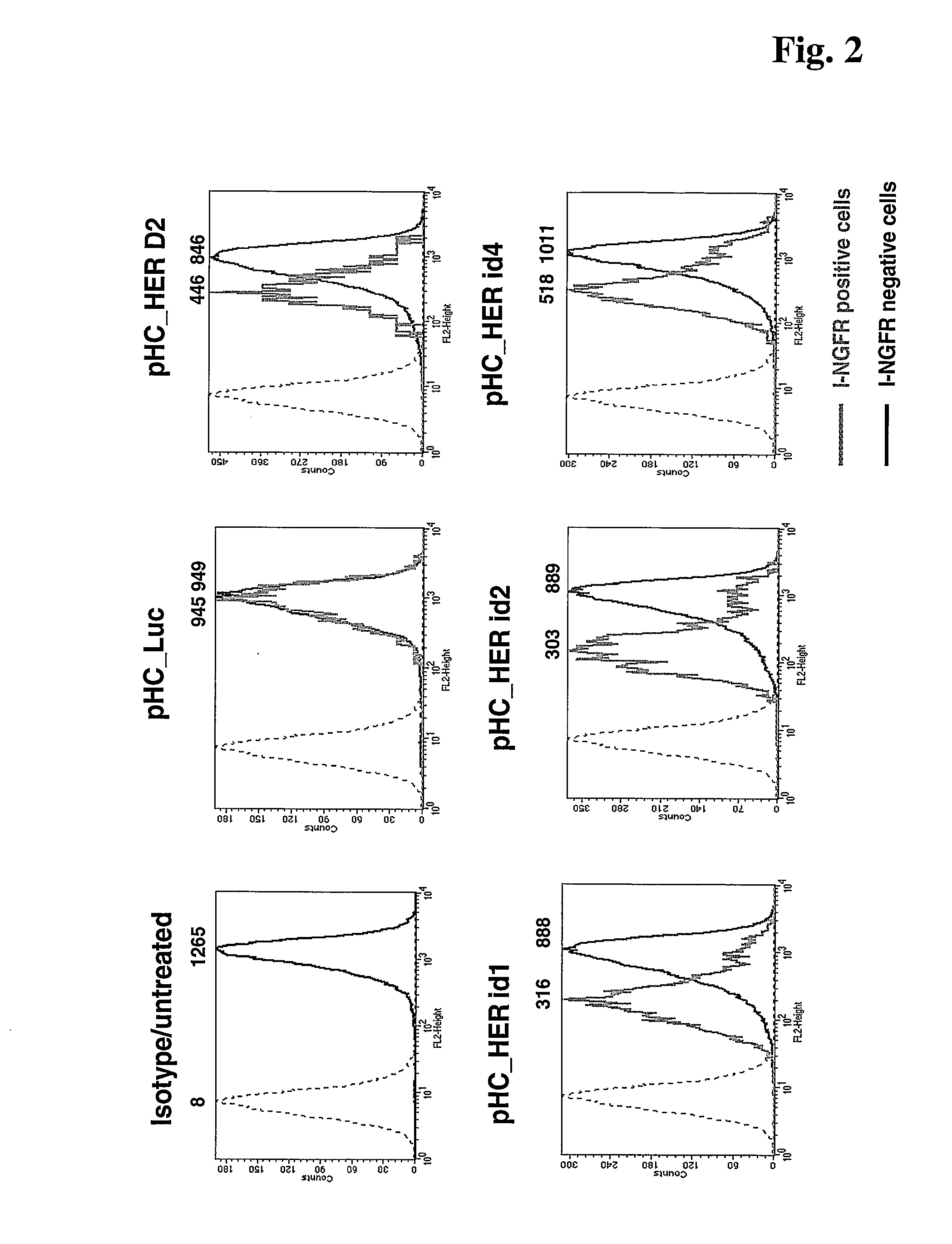 Method for Improved Selection of Rnai Transfectants