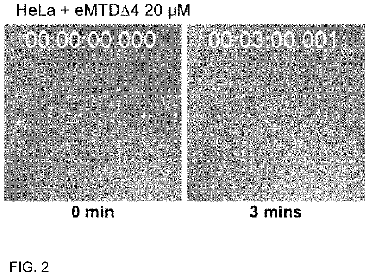Noxa-derived, cell death-inducing peptide eMTD