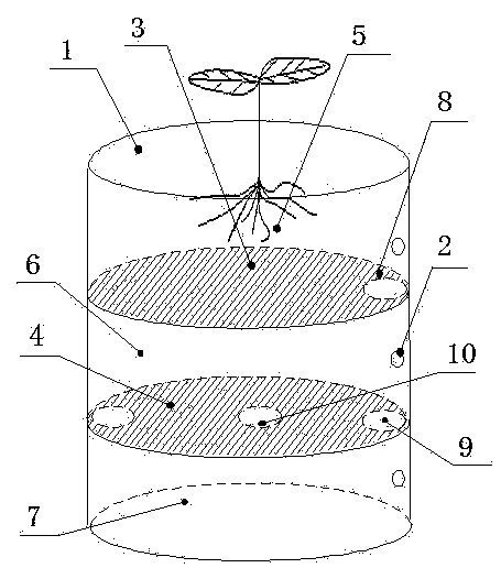 Testing apparatus and testing method for researching root system to deal with vertical obstacles