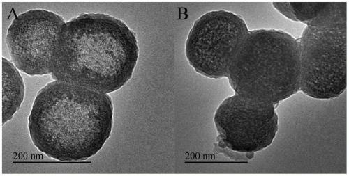 A dual drug-loading system based on targeting nucleolin and its preparation method and application