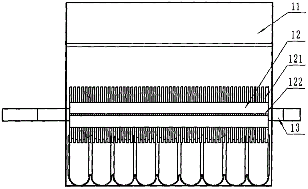 An energy-saving edamame sheller with automatic feeding and conveying