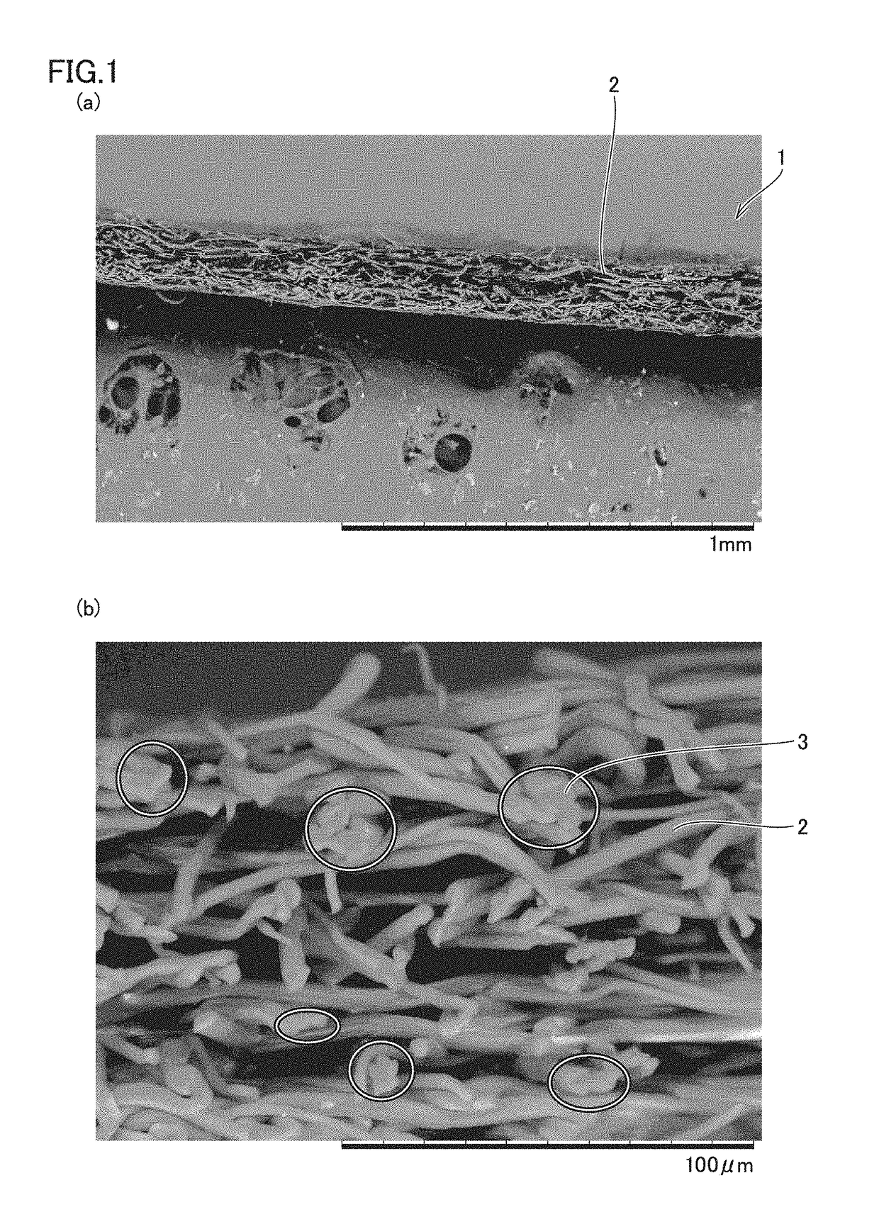 Nonwoven fabric and method for producing the same