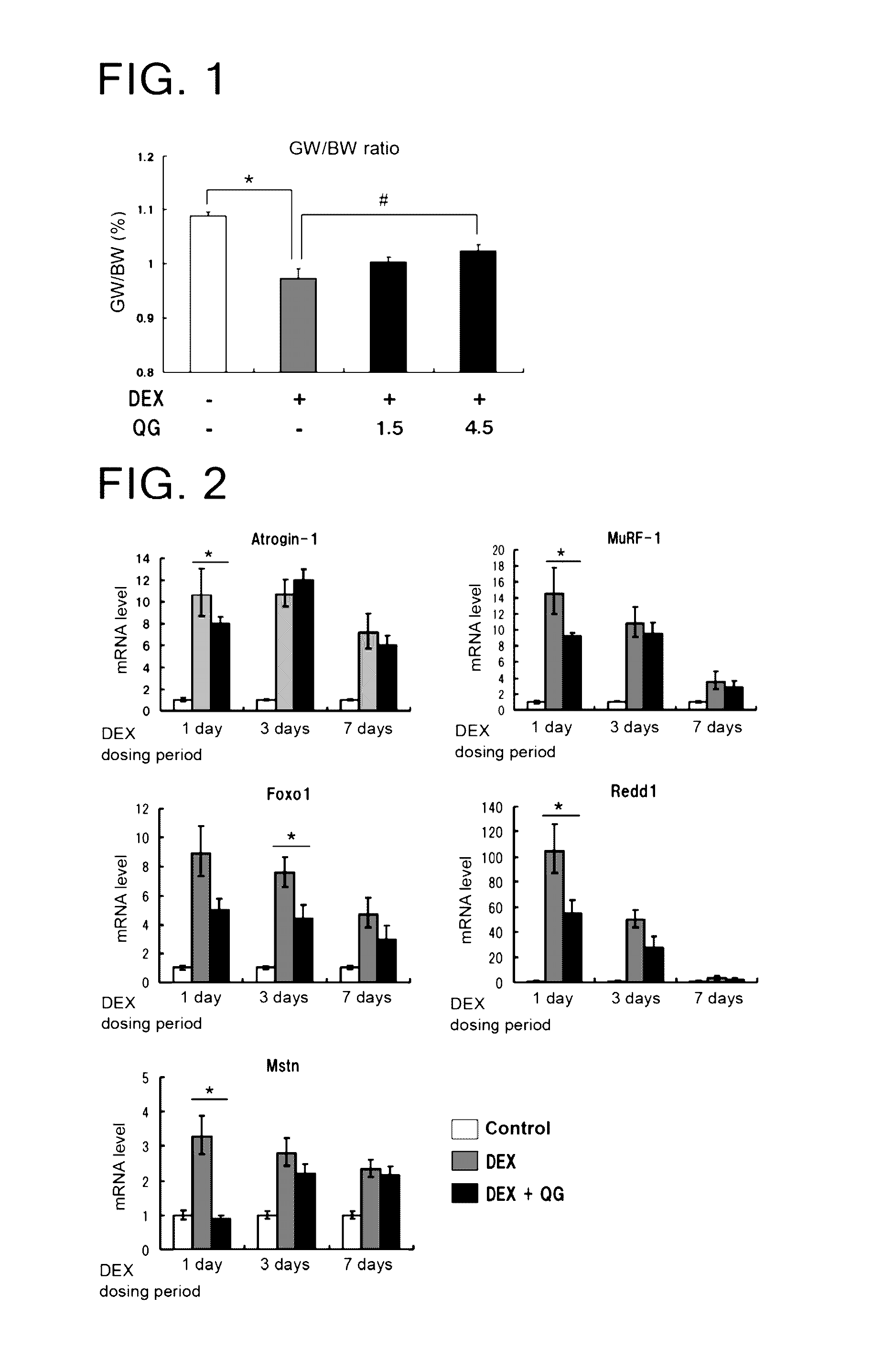 Muscle atrophy inhibitor containing quercetin glycoside