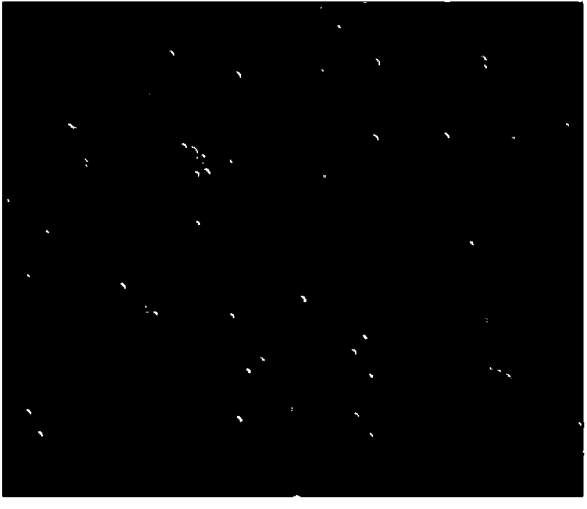 Genetic transformation method for PEG-medicated fusarium oxysporum sesame special type protoplast