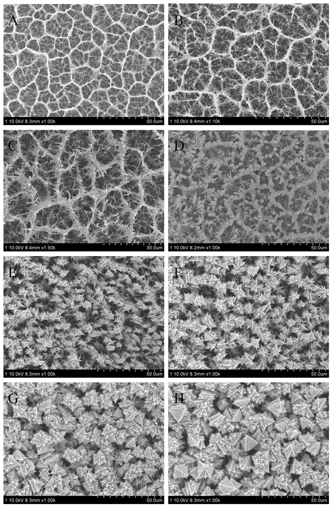 Multistage and ordered In2O3 structures growing along TiO2 nanofiber surfaces and preparation method