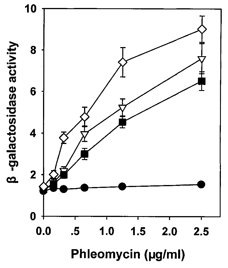 Ultrahigh permeability bread yeast and preparation method thereof