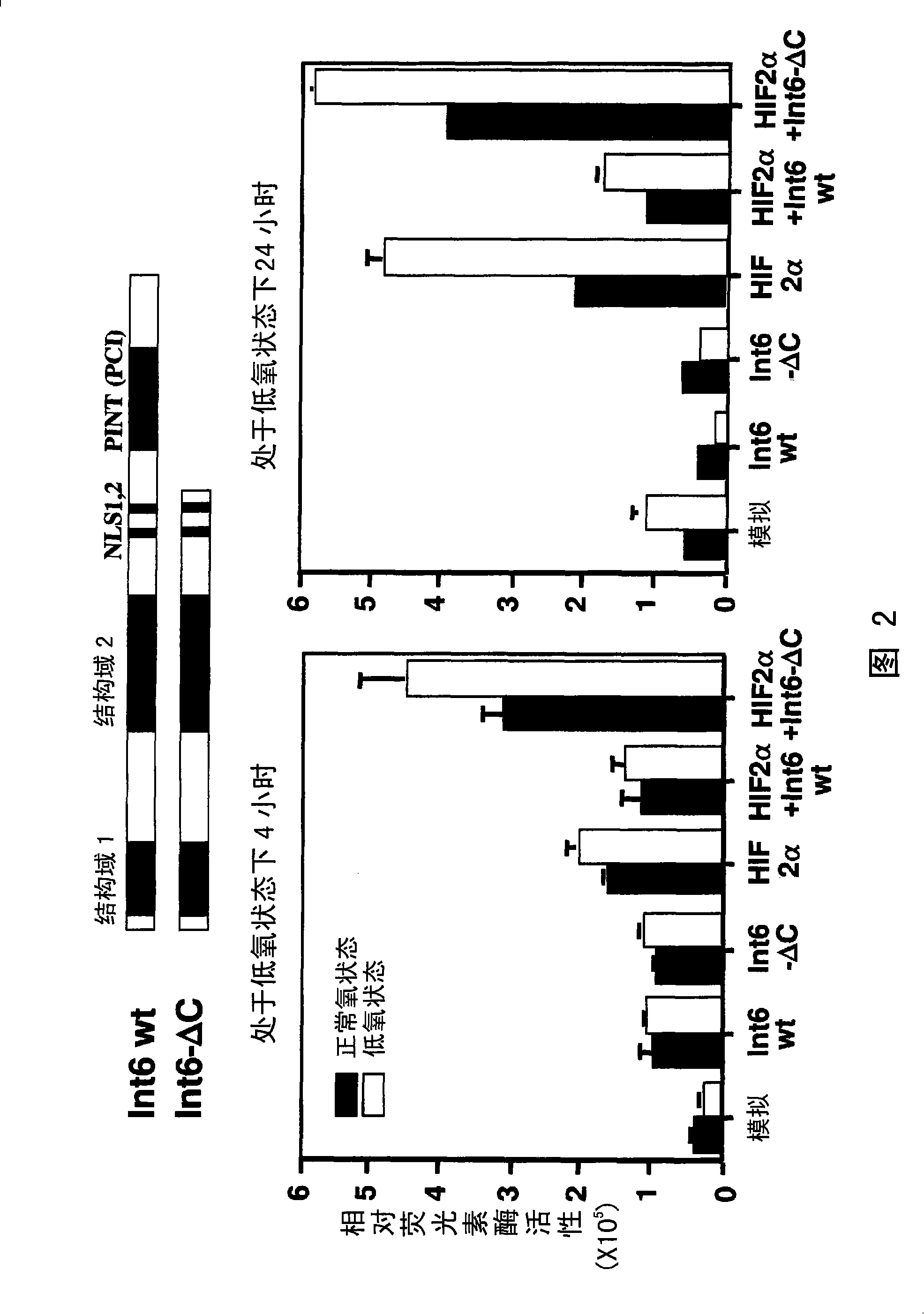 Int6 protein involved in hypoxia stress induction and use thereof