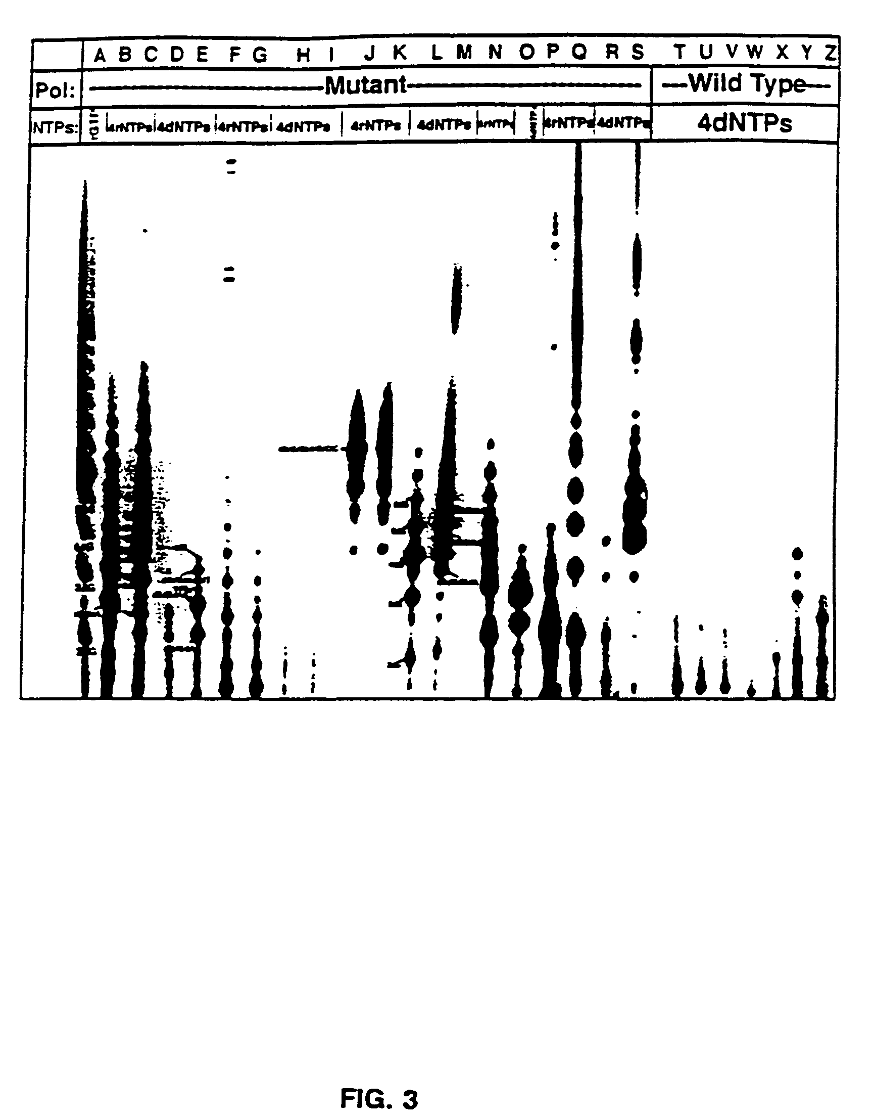 Methods for using double-mutant RNA polymerases with reduced discrimination between non-canonical and canonical nucleoside triphosphates