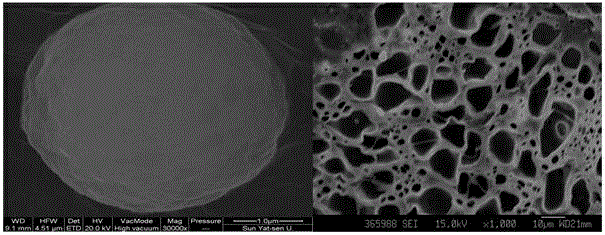 Calcium carbonate microsphere-extracellular matrix composite material as well as preparation method and application thereof