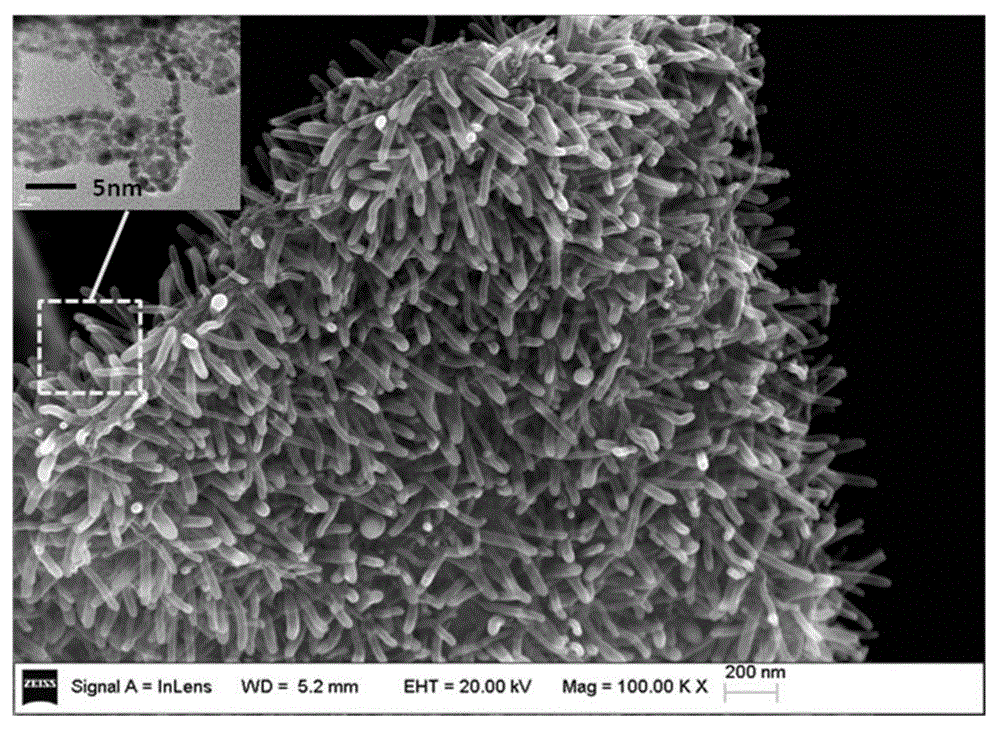Array carbon nano-tube/graphene platinum-supported catalyst for fuel cell and preparation method of array carbon nano-tube/graphene platinum-supported catalyst