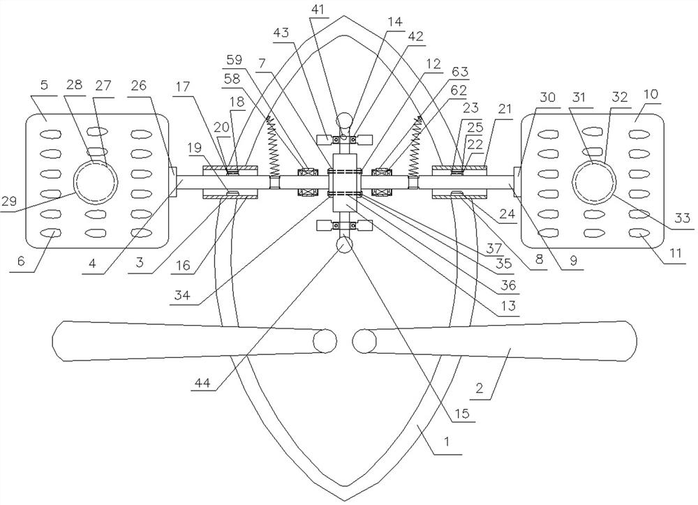 A device for releasing fish fry and its operating method