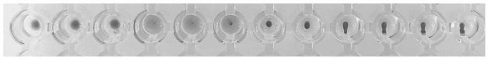 Stabilized non-enveloped virus compositions