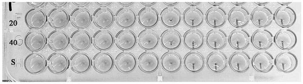 Stabilized non-enveloped virus compositions