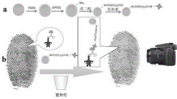 Preparation method of functional rare earth long-afterglow nanocomposite and latent fingerprint imaging application of functional rare earth long-afterglow nanocomposite
