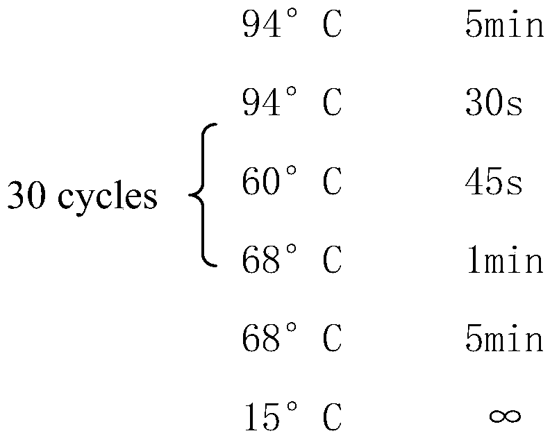 A method for exome assembly and sequencing