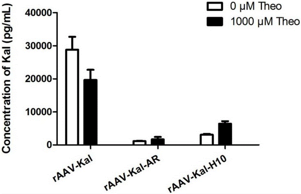 Recombinant adeno-associated virus vector capable of regulating and controlling genetic expression